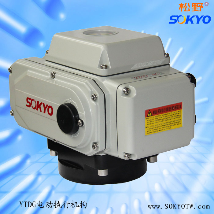 電動(dòng)執(zhí)行器 電動(dòng)執(zhí)行器