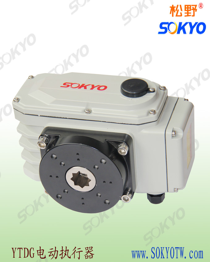 電動執(zhí)行機(jī)構(gòu) 電動執(zhí)行機(jī)構(gòu)