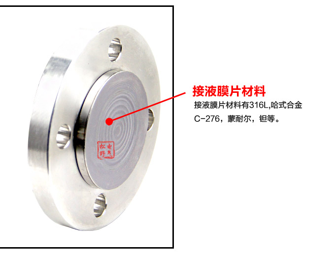 智能液位變送器,3051L法蘭液位變送器細節(jié)圖2