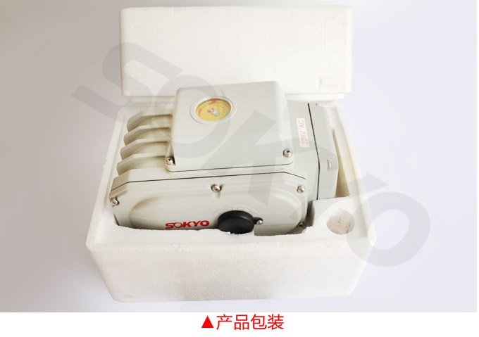電動執(zhí)行機(jī)構(gòu),YTDG-RKB1600電動執(zhí)行器,電動頭產(chǎn)品包裝2