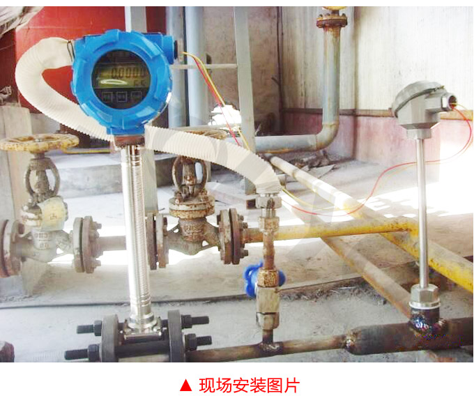 渦輪流量計(jì),YTFL脈沖輸出渦輪流量計(jì)現(xiàn)場安裝