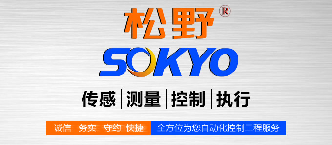 液晶漢顯控制儀,DT409雙回路液晶顯示表,液晶顯示控制儀品牌模塊 液晶漢顯控制儀,DT409雙回路液晶顯示表,液晶顯示控制儀品牌模塊